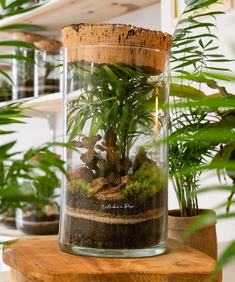Terrarium Isidore, Grand modèle, bouchon en liège Terrarium Isidore, Grand modèle, bouchon en liège