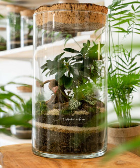 Terrarium Octave, Grand modèle, bouchon en liège