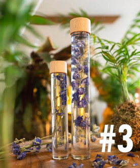 Tube de fleurs immergées, bouchon en bois, delphinium bleu
