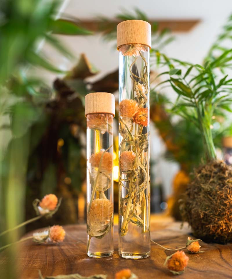 Tube de fleurs immergées, bouchon en bois, gomphrena orange. Tube de 50 ml ou 100ml Tube de fleurs immergées, bouchon en bois, gomphrena orange. Tube de 50 ml ou 100ml