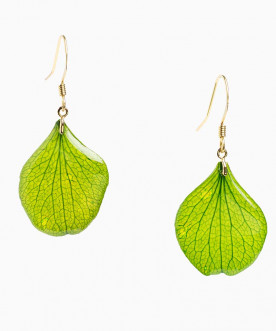 Boucles d'oreilles fleurs naturelles, pétales d'hortensia vert et résine, apprêts dorés à l'or fin 24k