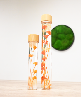 Herbarium ORANGE- Fiole de...