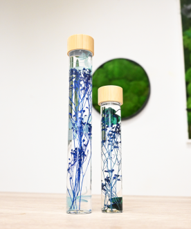 Herbarium BLEU- Fiole de...