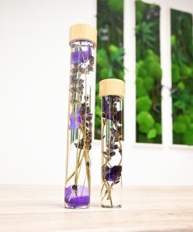 Herbarium VIOLET - Fiole de...