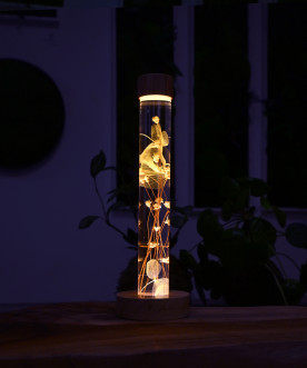 Herbarium lumineux – La...