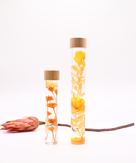 Herbarium ORANGE- Fiole de...