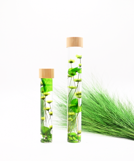 Herbarium VERT - Fiole de...