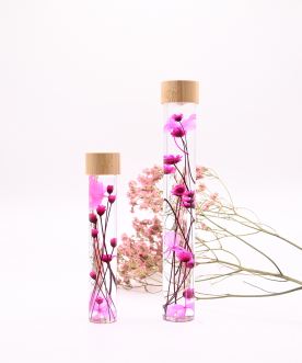 Herbarium ROSE - Fiole de...