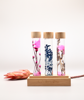 Trio d'Herbariums - Petits...