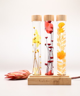 Trio d'Herbariums - Grands...