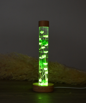 Herbarium lumineux Vert, la...