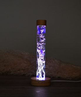 Herbarium lumineux Violet,...