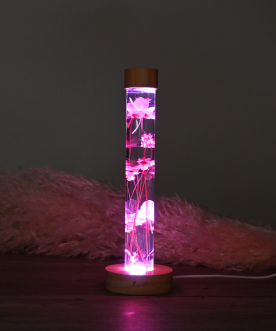 Herbarium lumineux Rose, la...