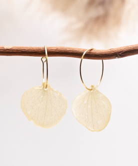 Créoles 2cm Hortensia Blanc...