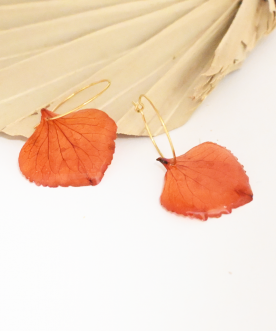 Créoles 2cm Hortensia Orange