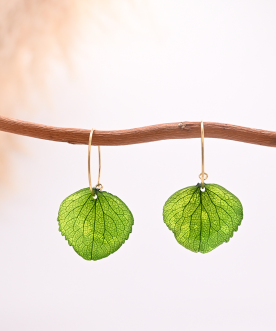 Créoles 2cm Hortensia Vert