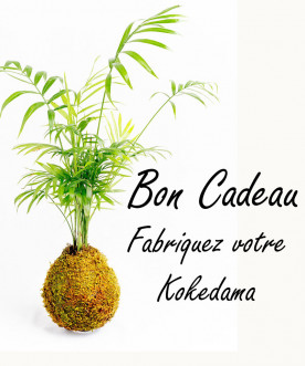 Offrez un atelier Kokedama